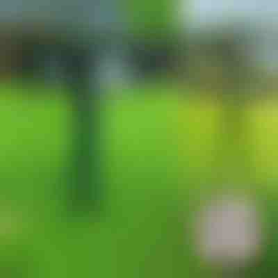 Ultrazvučni uređaj za odvraćanje životinja | SONICFIELD