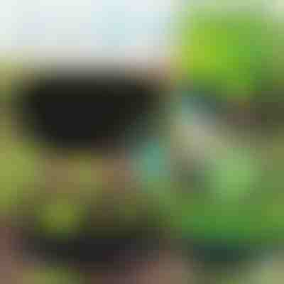 Platneni ograđeni vrt za sve vrste biljaka PLANTIE