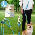 CROSSLEASH