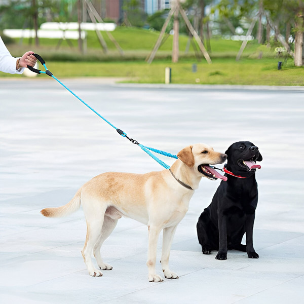 CROSSLEASH