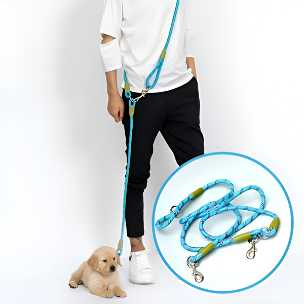 CROSSLEASH