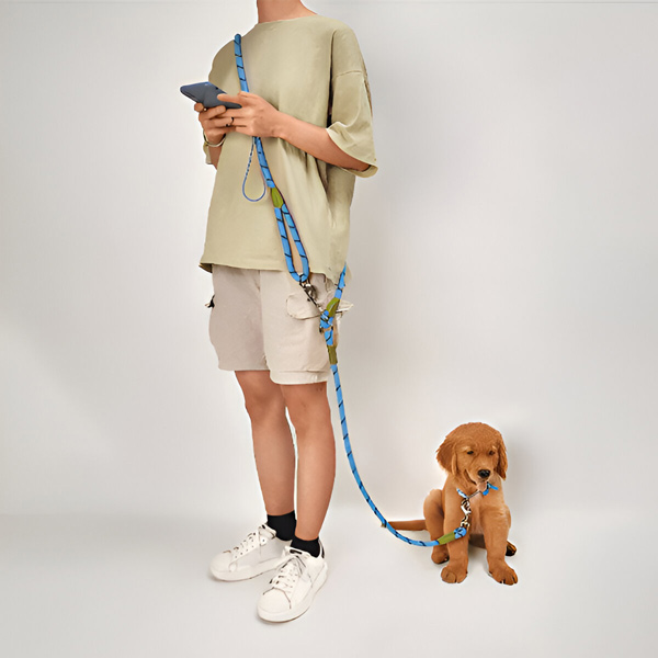 CROSSLEASH