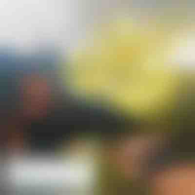 Mini dron FLASH s ručnim upravljanjem