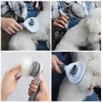 PETBRUSHY