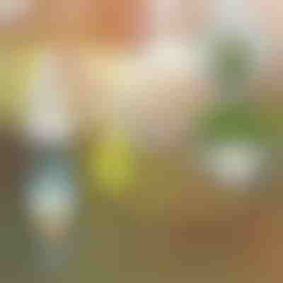 Tekuće gnojivo za biljke | PLANTBOOST