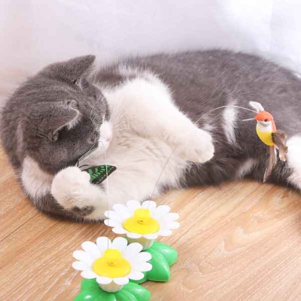 BIRDIETOY