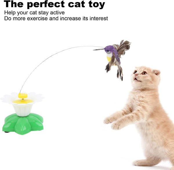 BIRDIETOY