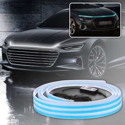 Dekorativno svjetlo za automobil | HOODSHINE