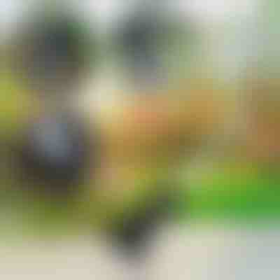 3 u 1 Vrtni Alat | VERSAX