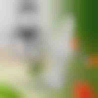 Dodatne oštrice za MULTIMINCER | MULTIBLADE