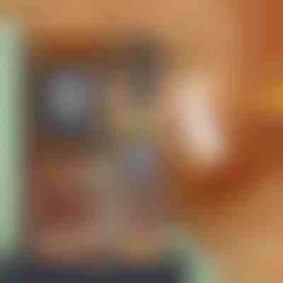 Vrhunsko sredstvo za čišćenje namještaja | BEEPOLISH