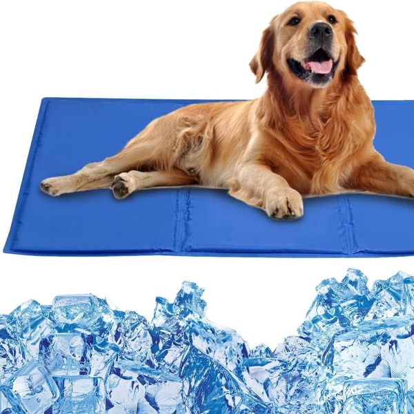 PAWCHILL14100__4a243acd