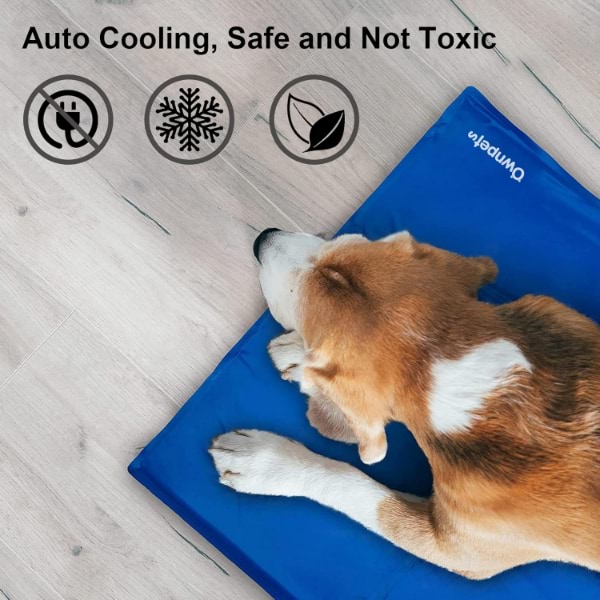 PAWCHILL14300__a5f18460