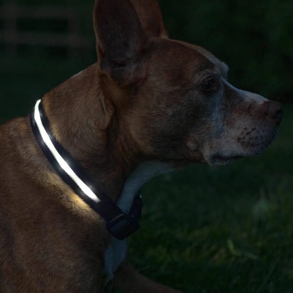 PETSHINE