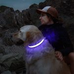 PETSHINE
