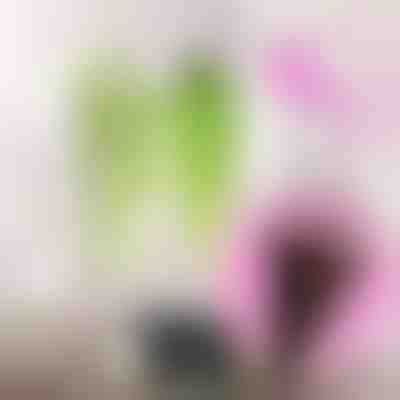 Viseća košarica za umjetno cvijeće | BASKETHANG