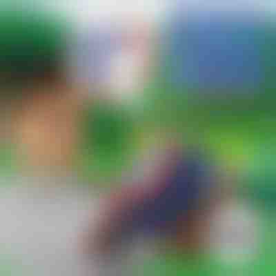 10 dodatnih pjenastih metaka za BLASTKID | FOAMBULLETS