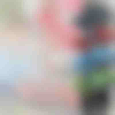 4 Mala autića | MINICARS