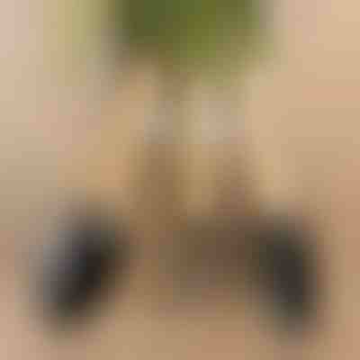 3 mini vrtna alata | MINITOOL