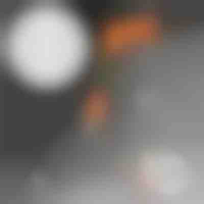 Ekstra pakiranje od 50 čavala | MORENAILS