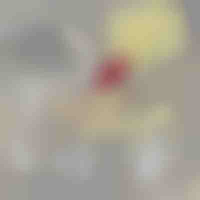 Dodatni filter za PETSPRINGLE | SPRINGLEFIL