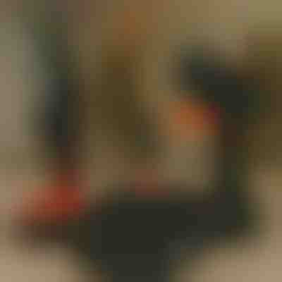 Dodatna baterija za motornu pilu | BRENCHIBATTERY