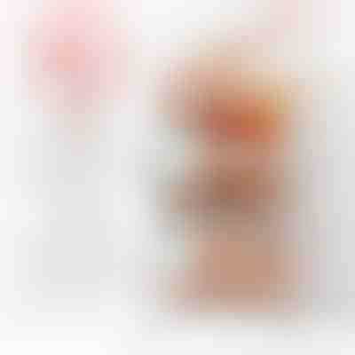 Kotačići za pričvršćivanje na ORGABOX | ORGAWHEELS