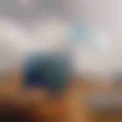 Dvopojasni WiFi pojačivač | WIFINA