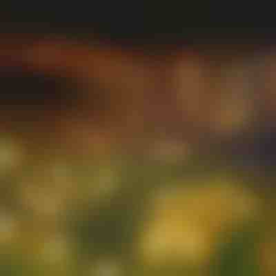 Solarni svjetlosni lanac sa 6 LED žarulja | SOMPEX