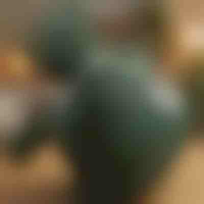 Shiatsu jastuk za masažu s grijanjem | MASSORA