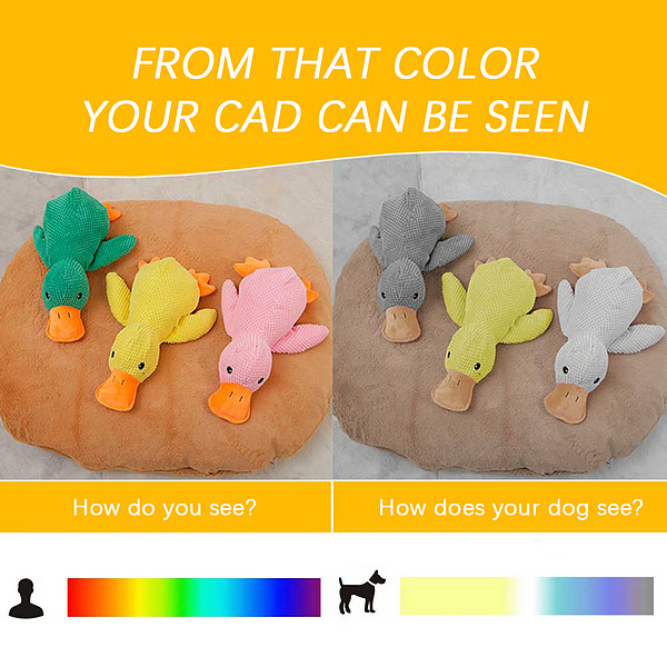 CALMQUA-3831127634352-EN-8__300126